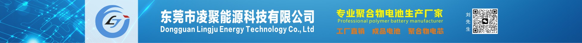 东莞市凌聚能源科技有限公司
