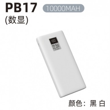 PB17数显